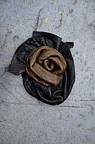 Zuza Bart exclusive black/tobacco leather brooch.12615T